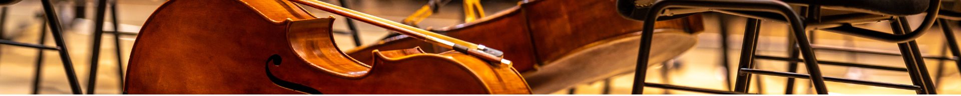 SUPPORTI VIOLONCELLO SUPPORTI VIOLONCELLO
