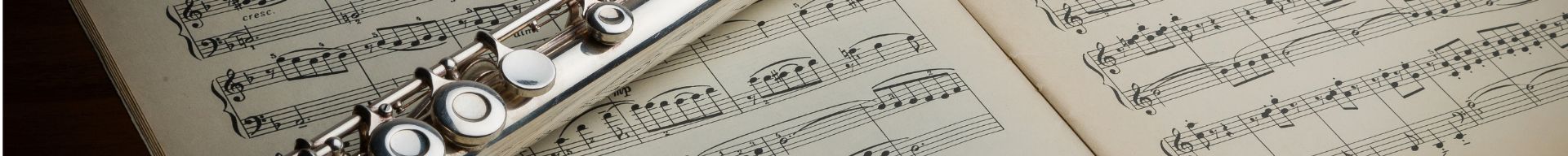 STRUMENTI A FIATO STRUMENTI A FIATO