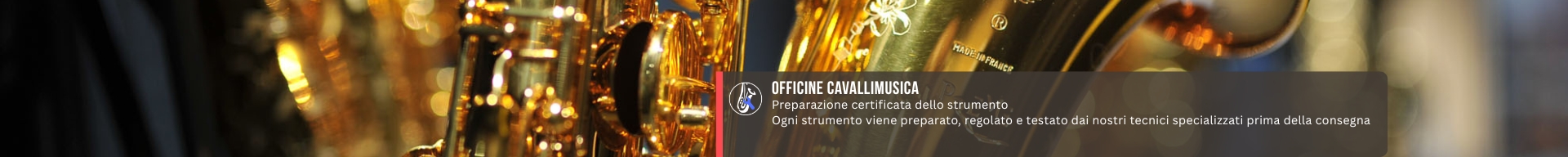 CUSTODIE SAX BARITONO