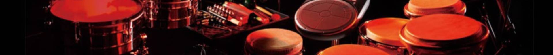 BATTERIA E PERCUSSIONI BATTERIA E PERCUSSIONI
