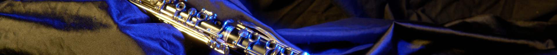 CUSTODIE CLARINETTO CUSTODIE CLARINETTO
