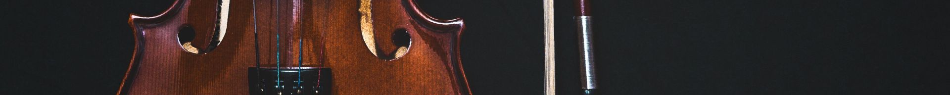 VIOLINO 4/4 VIOLINO 4/4