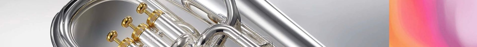 EUFONI E FLICORNI BARITONO EUFONI E FLICORNI BARITONO