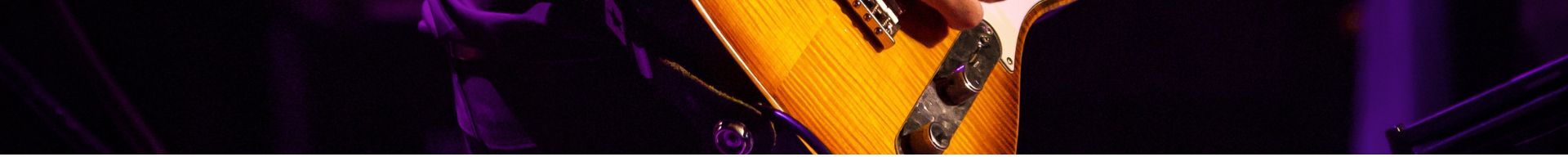 ACCESSORI VARI CHITARRA ACCESSORI VARI CHITARRA