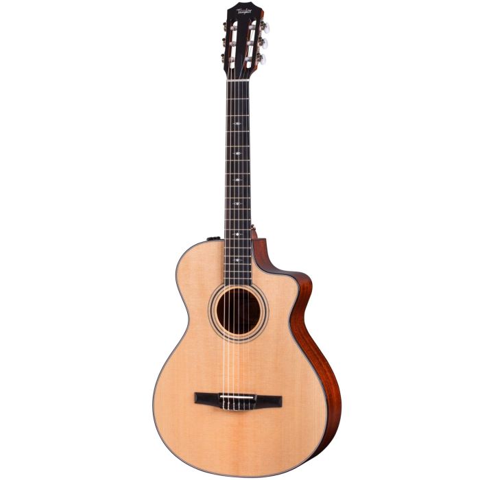 Taylor 312ce-N Nylon main product photo