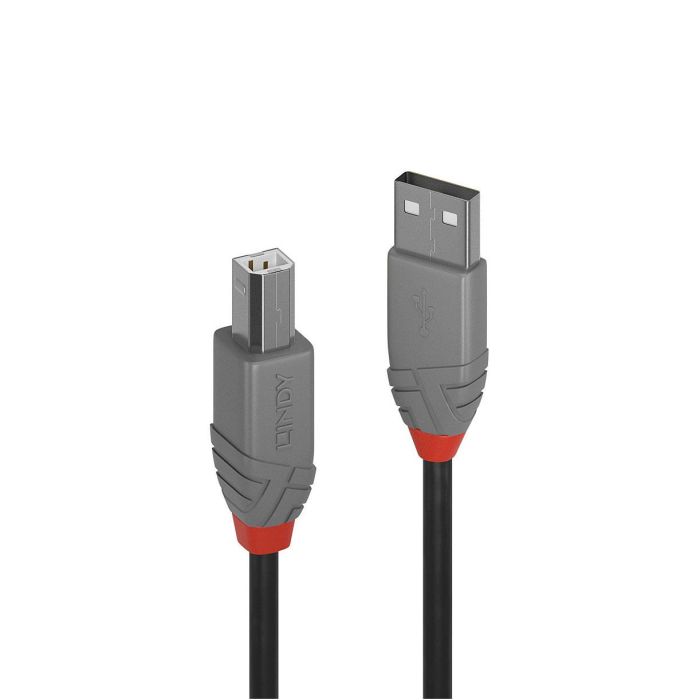 Cavo USB 2.0 A/B 1mt Lindy 36672 main product photo