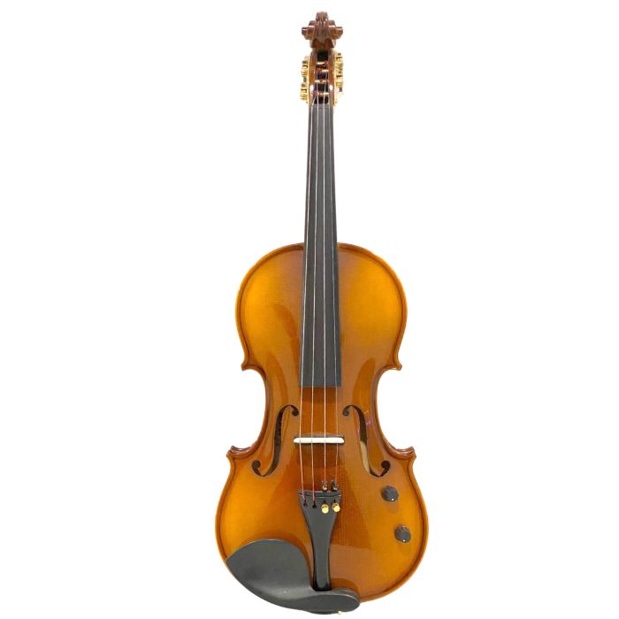 Violino Elettrico 4/4 Reghin con meccanica main product photo