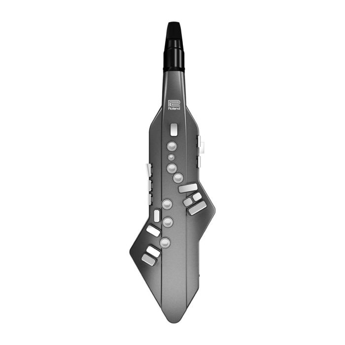 Strumento a fiato digitale Roland Aerophone GO AE-5 main product photo