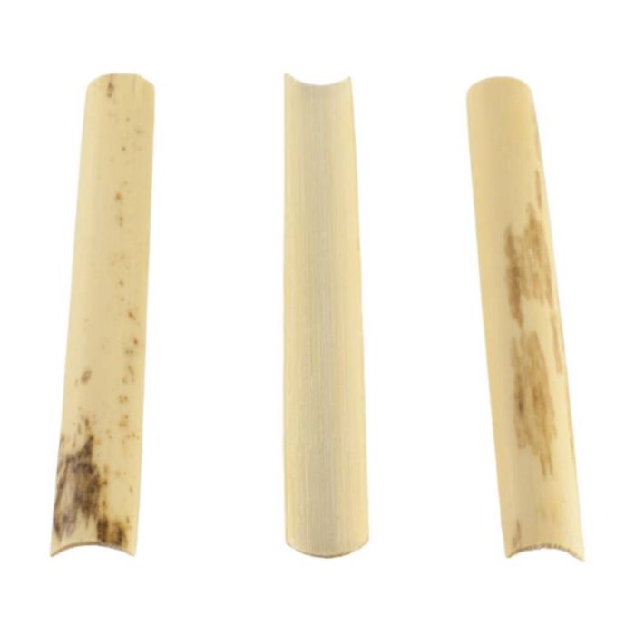Canna Oboe Berthelot Alliaud sgorbiata medium AF-3 10pz main product photo