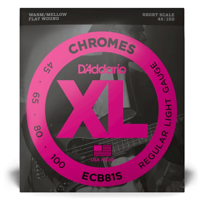 D`Addario ECB81S main product photo