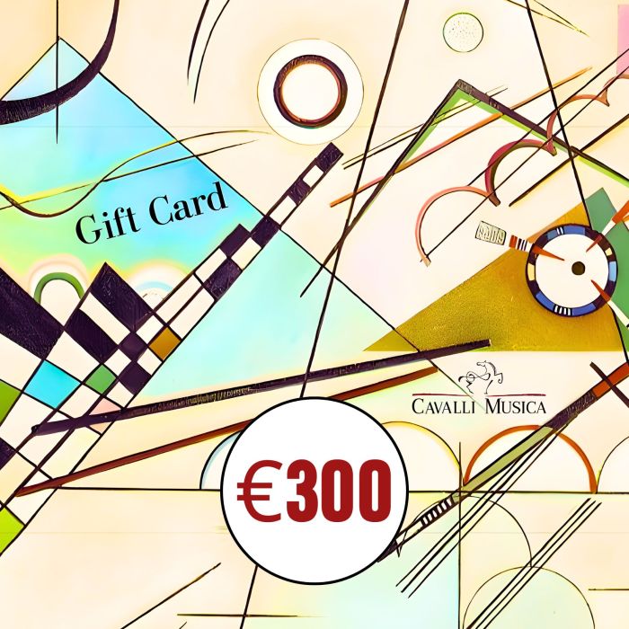 GIFT CARD 300 main product photo