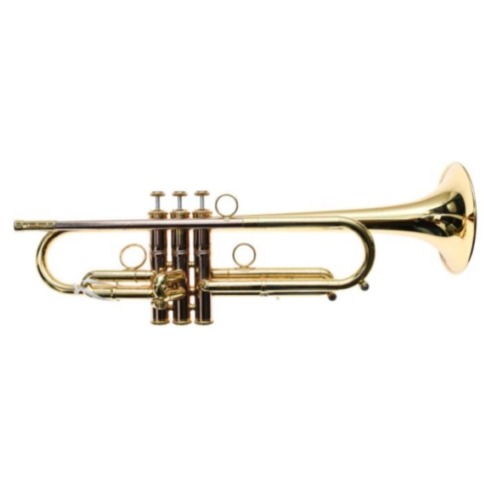CarolBrass Andrea Giuffredi II Commercial model slaccata main product photo
