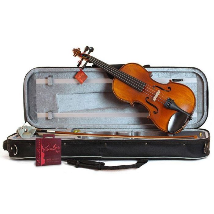 Violino 4/4 Domus Musica Liceo main product photo