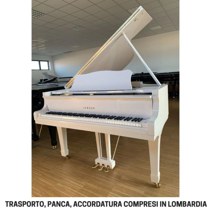 YAMAHA G3 BIANCO main product photo