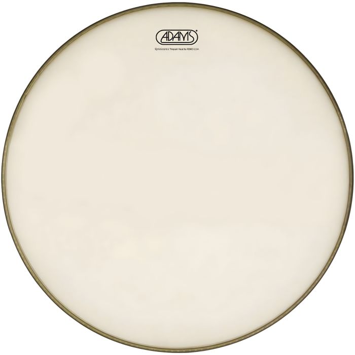 Adams 31" per timpani 29" Renaissance Hazy logo Adams main product photo