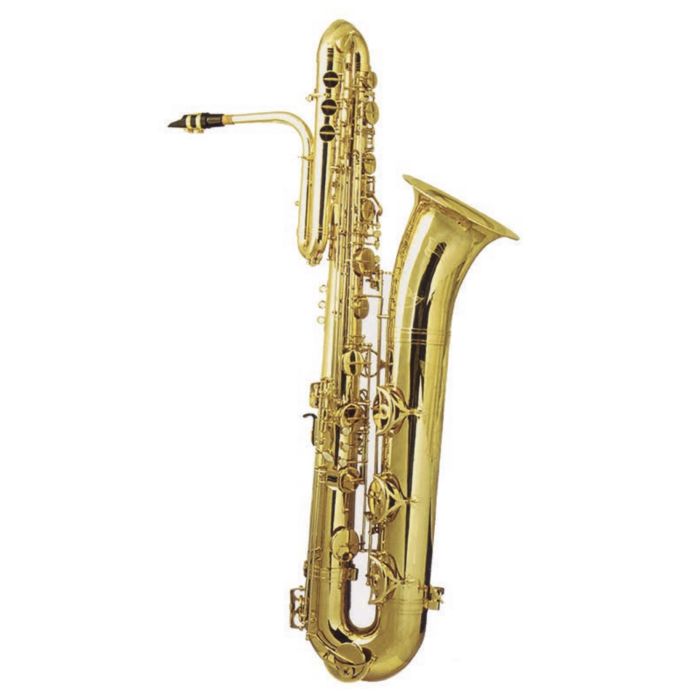 Sax Basso Comet 400104 in Sib laccato astuccio con ruote main product photo