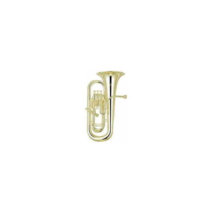 Yamaha YEP-621 3+1 con astuccio main product photo