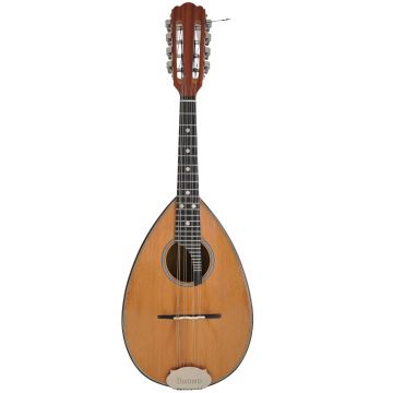 Mandolino Napoletano Domus Duomo 4/4 con custodia EX DEMO
