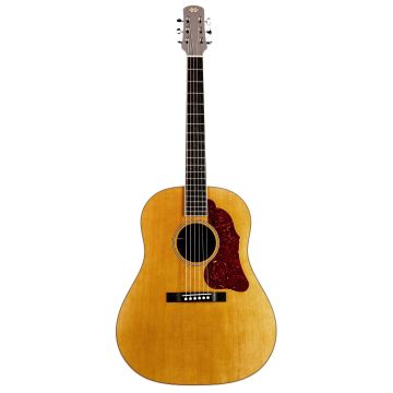 Iris IR-DF Relic natural Chitarra Acustica 